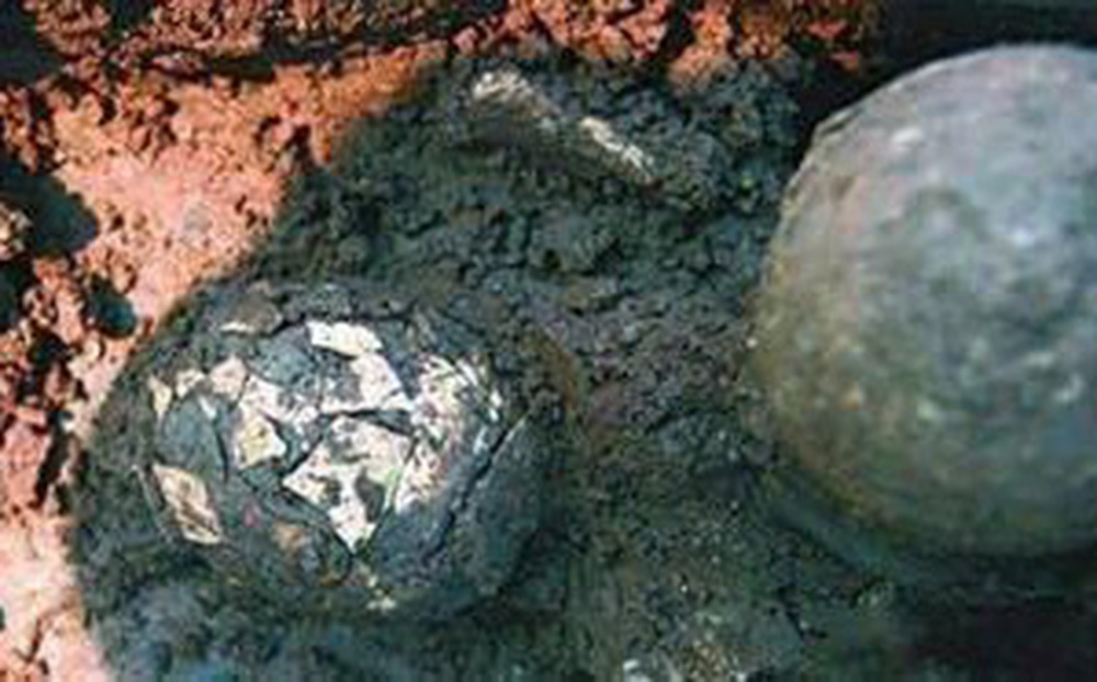 Xuất hiện “trứng nghìn năm” trong lăng mộ khiến nhà khảo cổ điên đầu: Bí mật ở đây là gì?