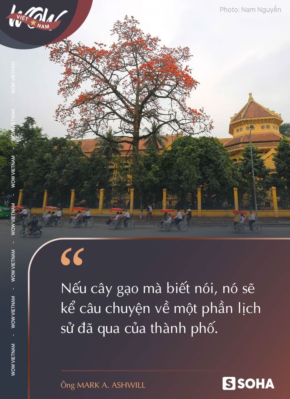 Niềm tự hào Ấn Độ trên vỉa hè Hà Nội - Ảnh 4. Niềm tự hào Ấn Độ trên vỉa hè Hà Nội - Ảnh 4.