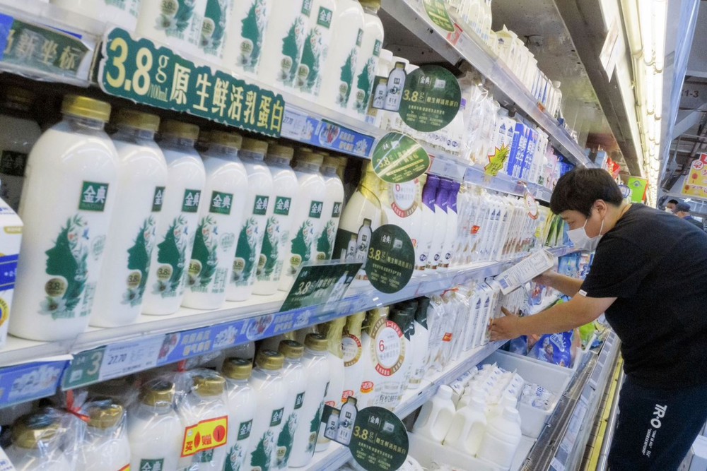 Trung Quốc đối mặt cơn khát sữa trước thách thức không có đủ bò - Ảnh 1.