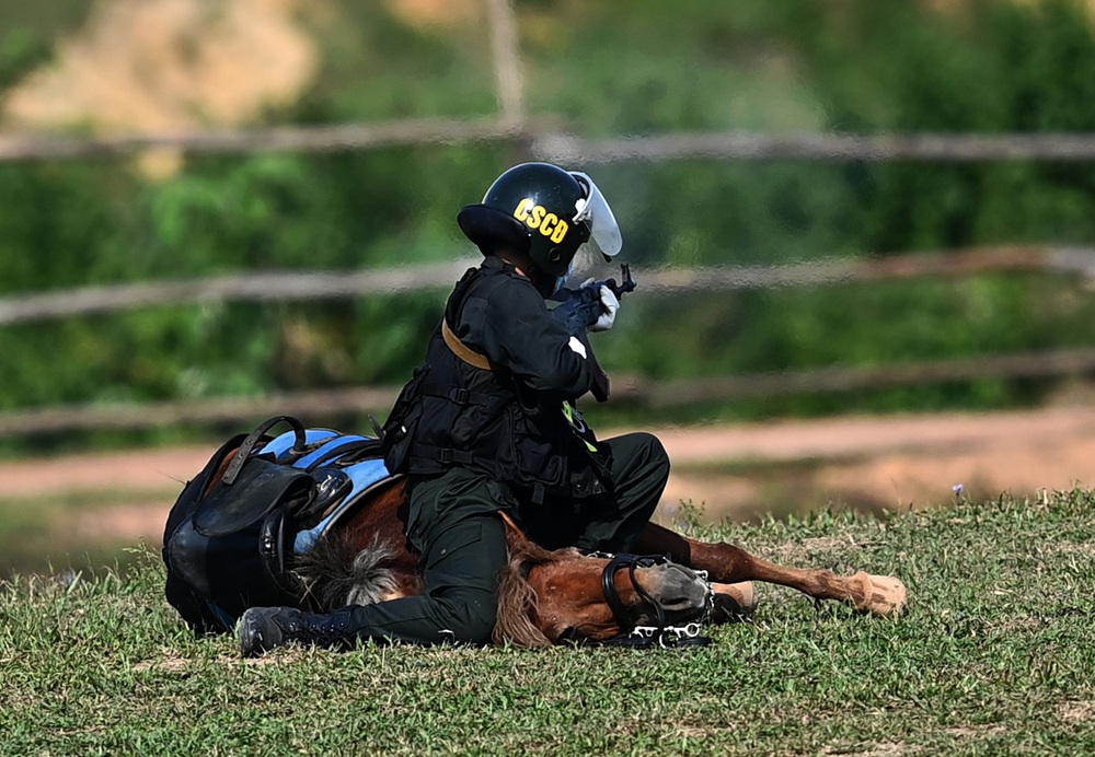 Màn biểu diễn đỉnh cao của Cảnh sát cơ động Kỵ binh: Điều khiển cho ngựa đổ người nằm im giả chết, né đạn - Ảnh 1.