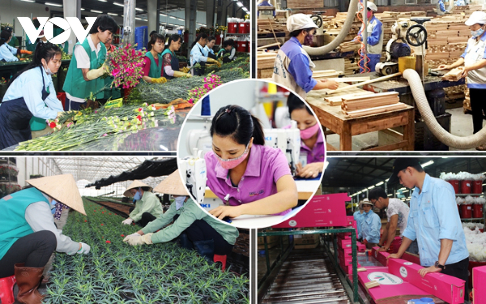 Kinh tế Việt Nam không thể chỉ mãi lo “phòng thủ” - Ảnh 2.