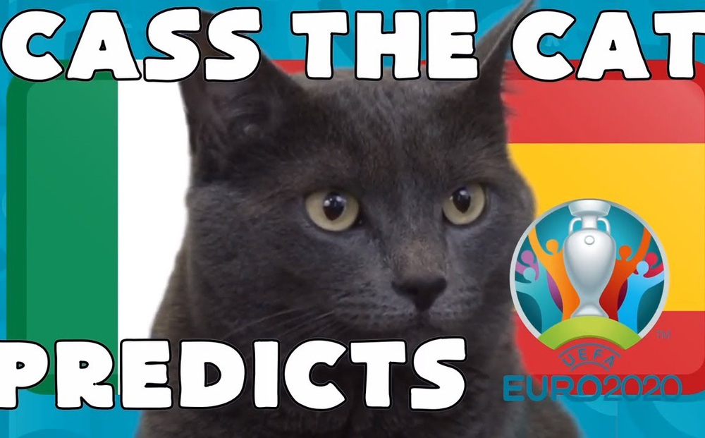 Dự đoán tỷ số Italia vs Tây Ban Nha: Mèo tiên tri "đặt cửa" Italia vào chung kết Euro 2020