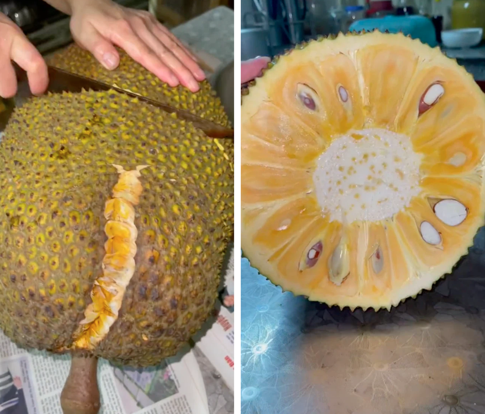 Nhà trồng được cây mít bé tí nhưng cho quả nặng gần 15kg, cô gái quyết định xẻ ra rồi làm một việc cực ý nghĩa này - Ảnh 4.