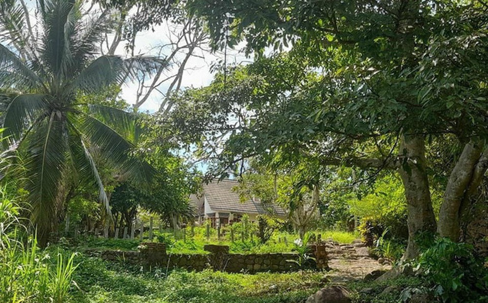 Theo đám đông trào lưu 'bỏ phố về rừng' làm farmstay tiền tỷ, nhiều người cay đắng tiết lộ: Vỡ mộng thực sự, muốn bán gấp