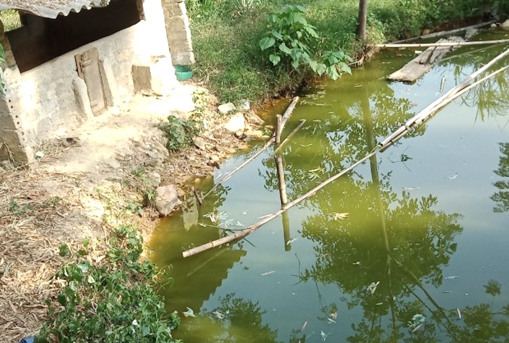 Con trai đi theo không biết, bố điếng người khi thấy con chết đuối dưới ao trong vườn  - Ảnh 1.