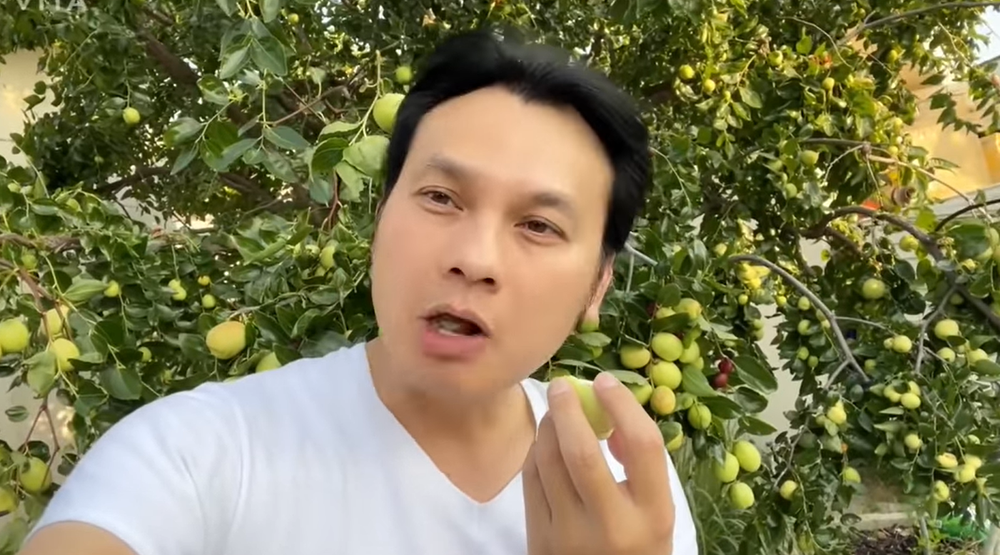 NSƯT Kim Tiểu Long hé lộ vườn cây trĩu quả rộng cả trăm mét vuông tại Mỹ - Ảnh 3. NSƯT Kim Tiểu Long hé lộ vườn cây trĩu quả rộng cả trăm mét vuông tại Mỹ - Ảnh 3.