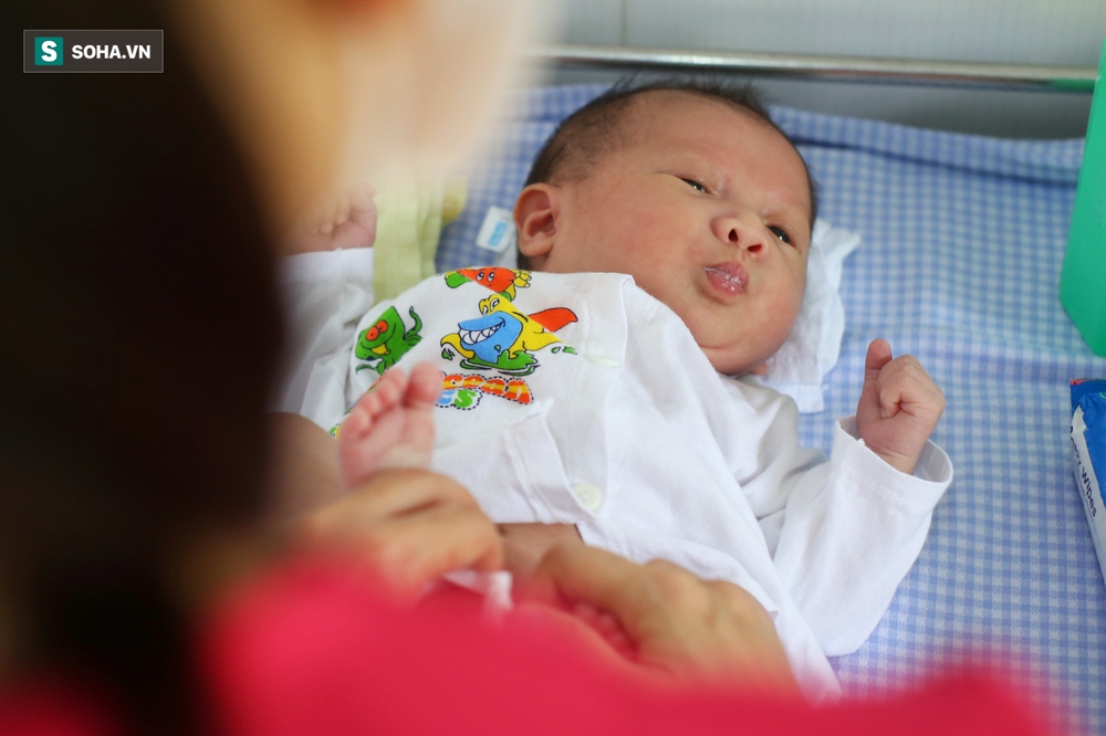 Giọt nước mắt hạnh phúc của nữ tiếp viên xin làm mẹ cho hàng chục trẻ sơ sinh có bố mẹ là F0 - Ảnh 10. Giọt nước mắt hạnh phúc của nữ tiếp viên xin làm mẹ cho hàng chục trẻ sơ sinh có bố mẹ là F0 - Ảnh 10.