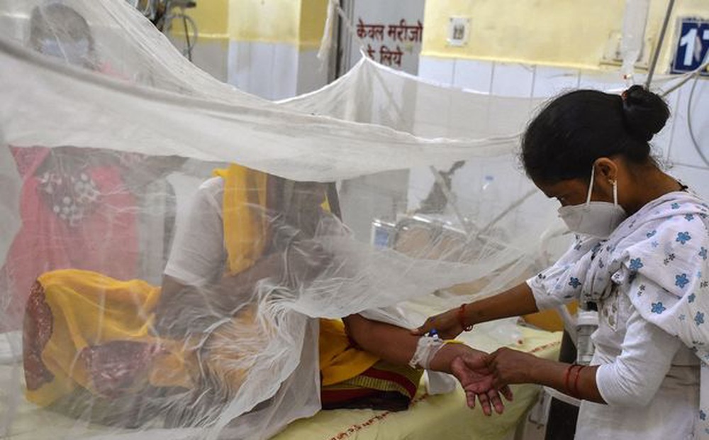 Đã xác định chân tướng "virus bí ẩn" giết chết hàng chục trẻ em ở Ấn Độ: "Hung thủ" không hề xa lạ