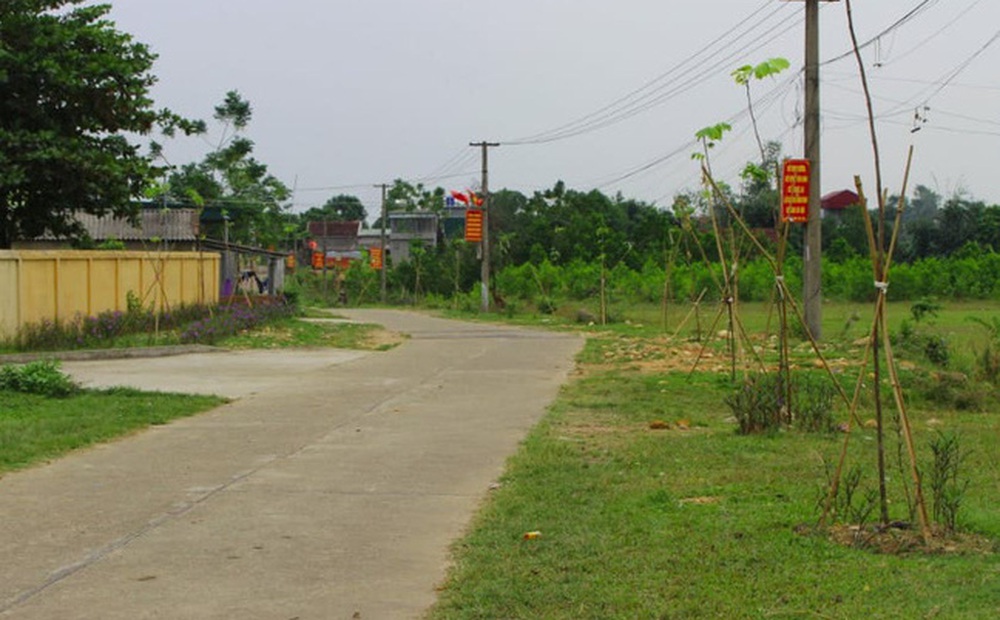 Bán 100m2 đất nông thôn, đủ tiền mua một căn chung cư cho con trên Hà Nội