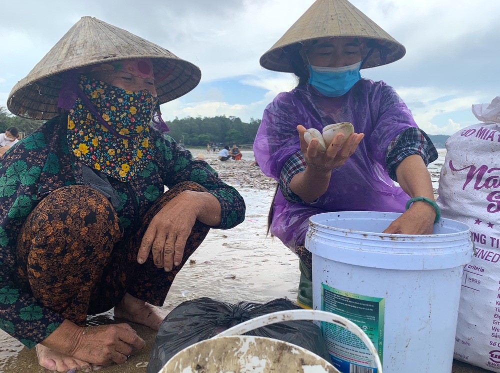 Hàng trăm người dân đổ xô đi vớt lộc biển sau lũ, kiếm tiền triệu một ngày - Ảnh 7.