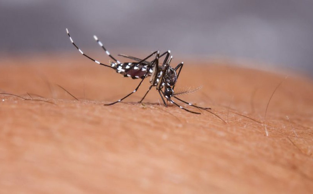 Bộ Y tế yêu cầu các bệnh viện ngoài phòng dịch Covid-19 phải lưu ý đặc biệt tới sốt xuất huyết
