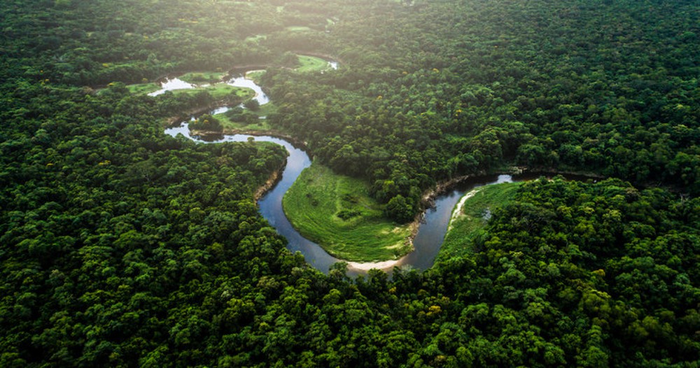 Rừng Amazon là gì, ở đâu và những bí ẩn chưa lời giải - Ảnh 1.