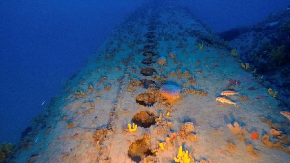 Tìm thấy một tàu ngầm Ý bị chìm cách đây 80 năm ở biển Aegean - Ảnh 5.