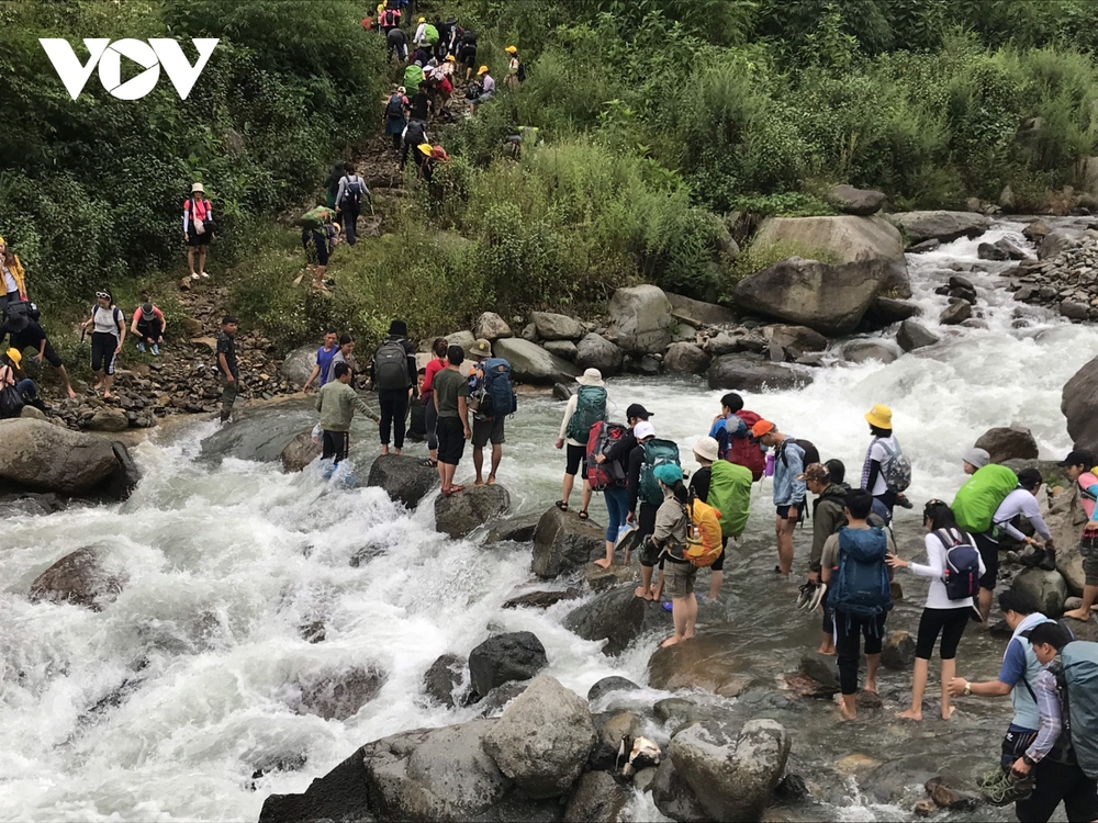 Say đắm sắc hoa chi pâu trên đỉnh Tà Chì Nhù - Ảnh 8.