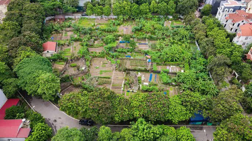 Bên trong những lô đất quây tôn 20 năm mà Hà Nội quyết đòi để xây trường có gì? - Ảnh 13. Bên trong những lô đất quây tôn 20 năm mà Hà Nội quyết đòi để xây trường có gì? - Ảnh 13.