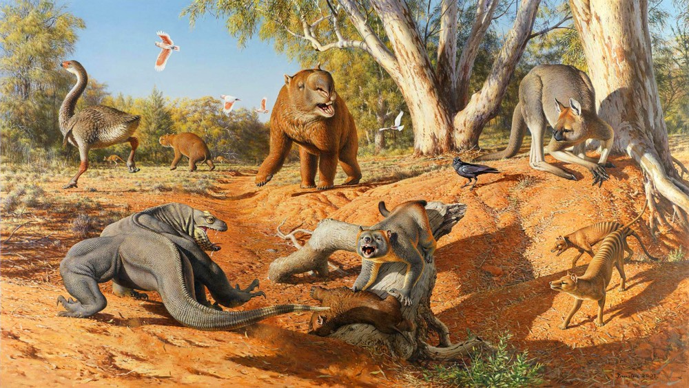 Một số loài Megafaunal đã tồn tại ở New Guinea cho đến 20.000 năm trước - Ảnh 3.