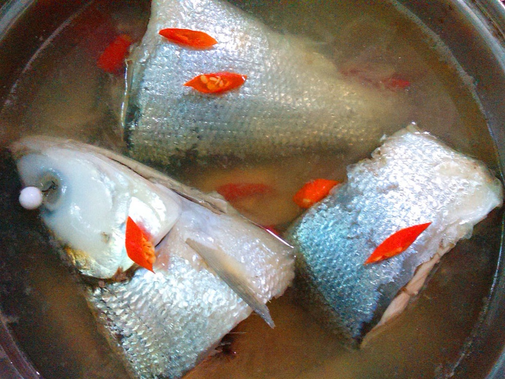 Cá măng và những món ngon từ loài cá giang hồ này - Ảnh 2. Cá măng và những món ngon từ loài cá giang hồ này - Ảnh 2.
