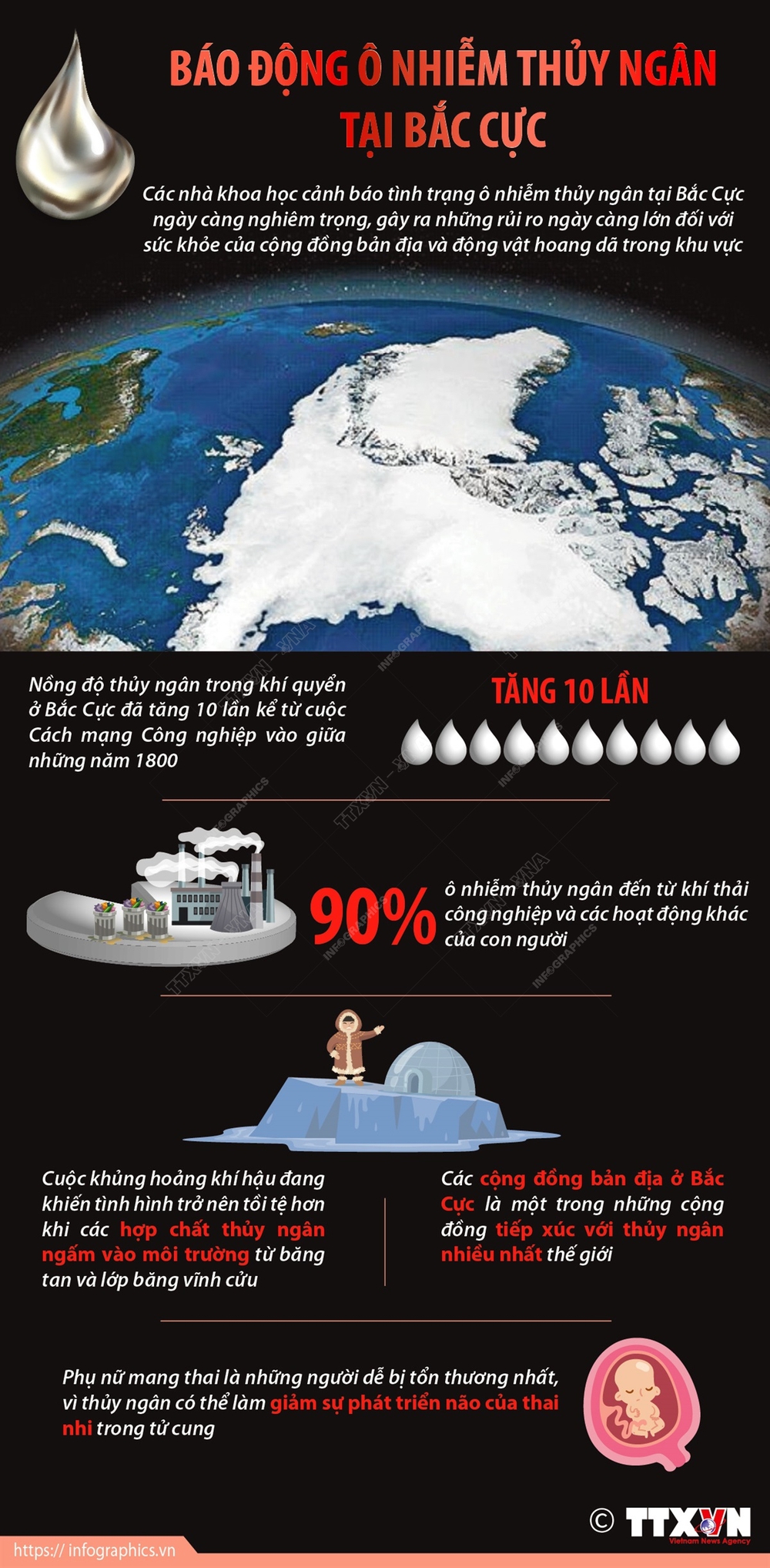 Báo động ô nhiễm thủy ngân tại Bắc Cực - Ảnh 1.