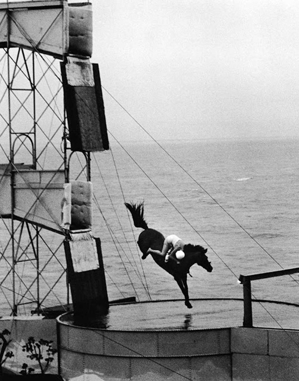 Ngựa lặn: Môn thể thao nguy hiểm ở thế kỷ 19 - Ảnh 6.