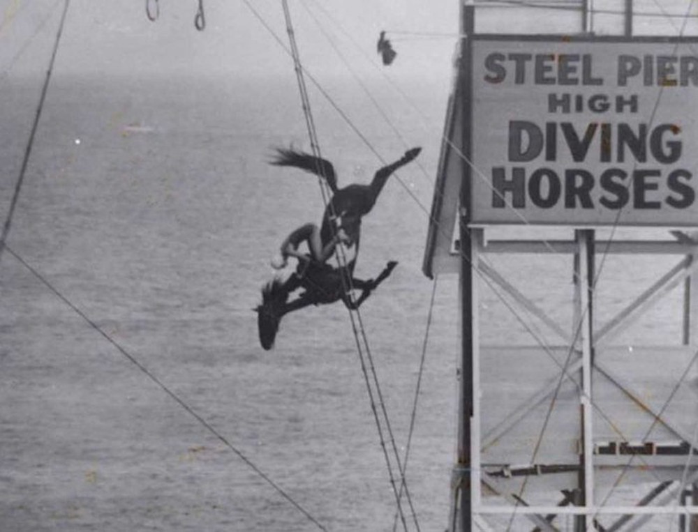 Ngựa lặn: Môn thể thao nguy hiểm ở thế kỷ 19 - Ảnh 5.