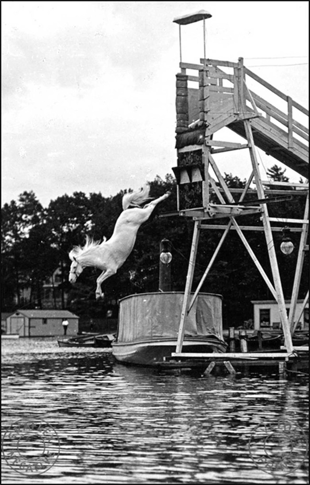 Ngựa lặn: Môn thể thao nguy hiểm ở thế kỷ 19 - Ảnh 3.