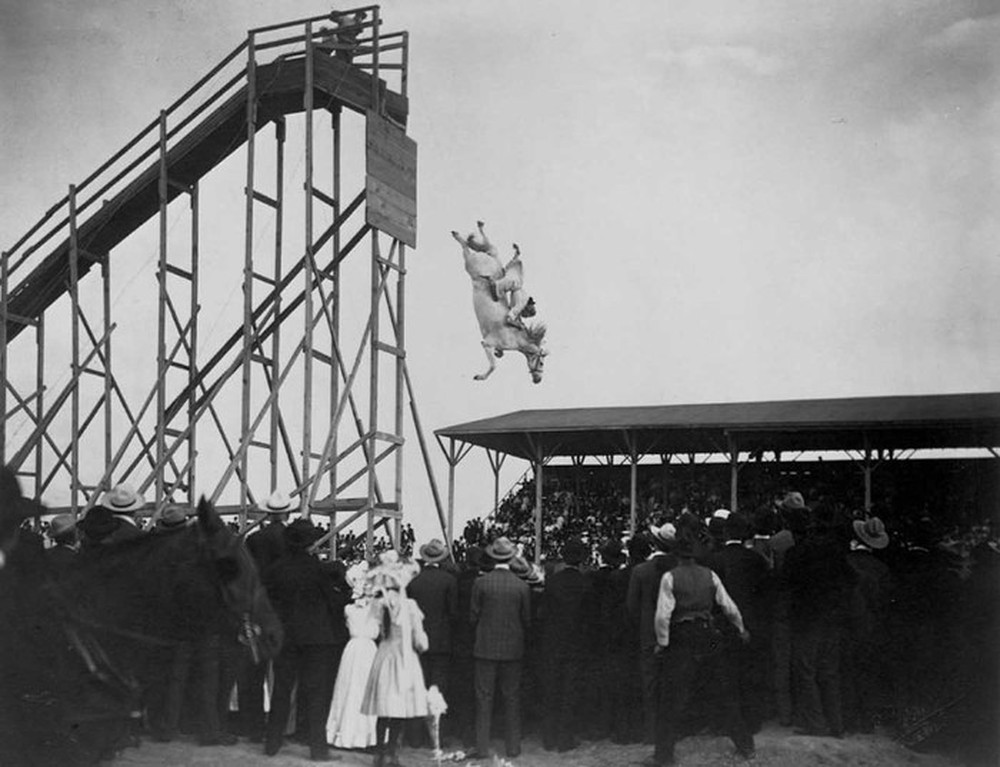 Ngựa lặn: Môn thể thao nguy hiểm ở thế kỷ 19 - Ảnh 1.