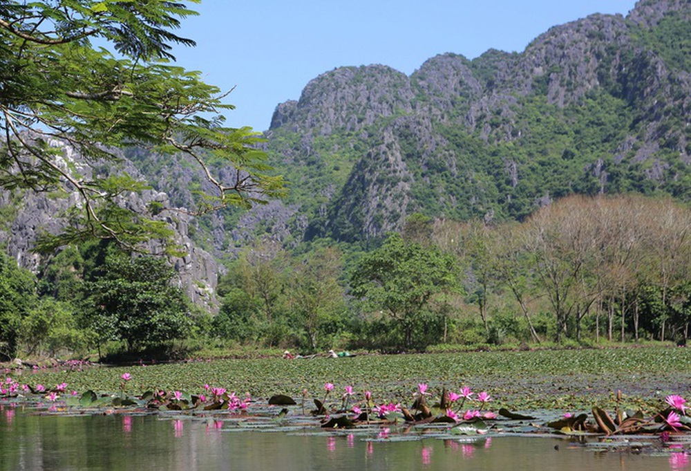 Say đắm tiết Thu ở danh thắng đẹp như châu Âu giữa lòng xứ Thanh - Ảnh 5. Say đắm tiết Thu ở danh thắng đẹp như châu Âu giữa lòng xứ Thanh - Ảnh 5.