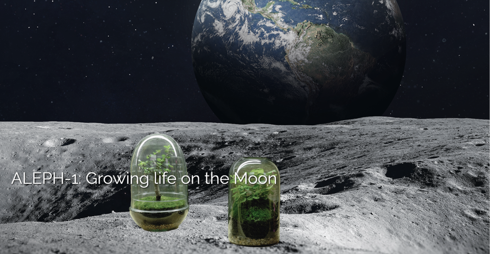Con người sẽ sớm trồng cây xanh trên Mặt trăng - Ảnh 3.