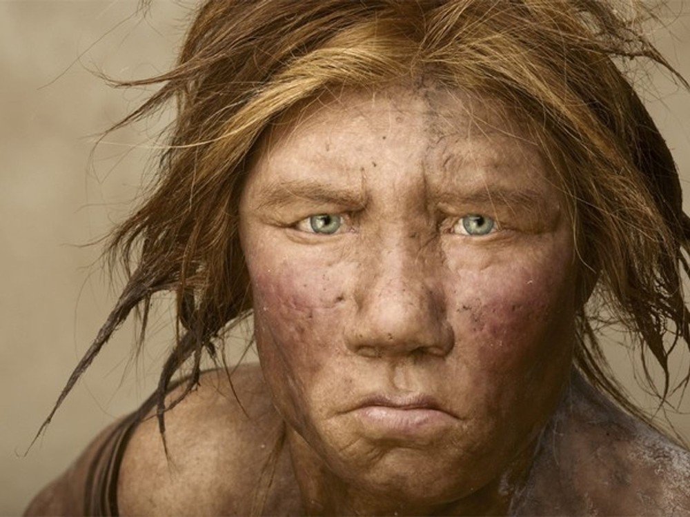 Nghiên cứu mới: Người hiện đại và người Neanderthal đã từng vay mượn công nghệ để cùng tồn tại - Ảnh 3.