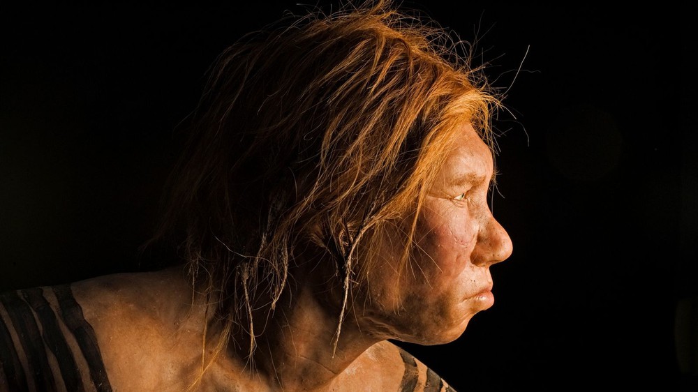 Nghiên cứu mới: Người hiện đại và người Neanderthal đã từng vay mượn công nghệ để cùng tồn tại - Ảnh 1.