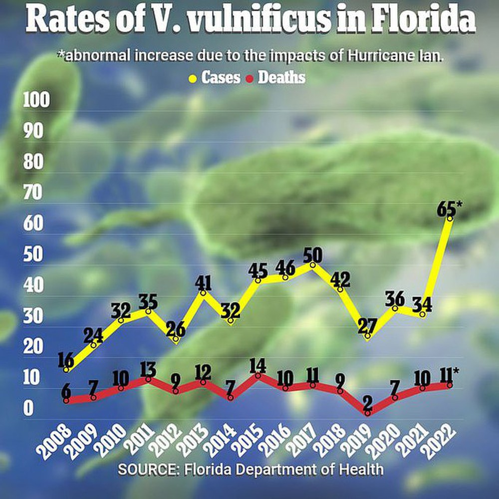 Bùng phát nỗi lo vi khuẩn ăn thịt người ở Florida