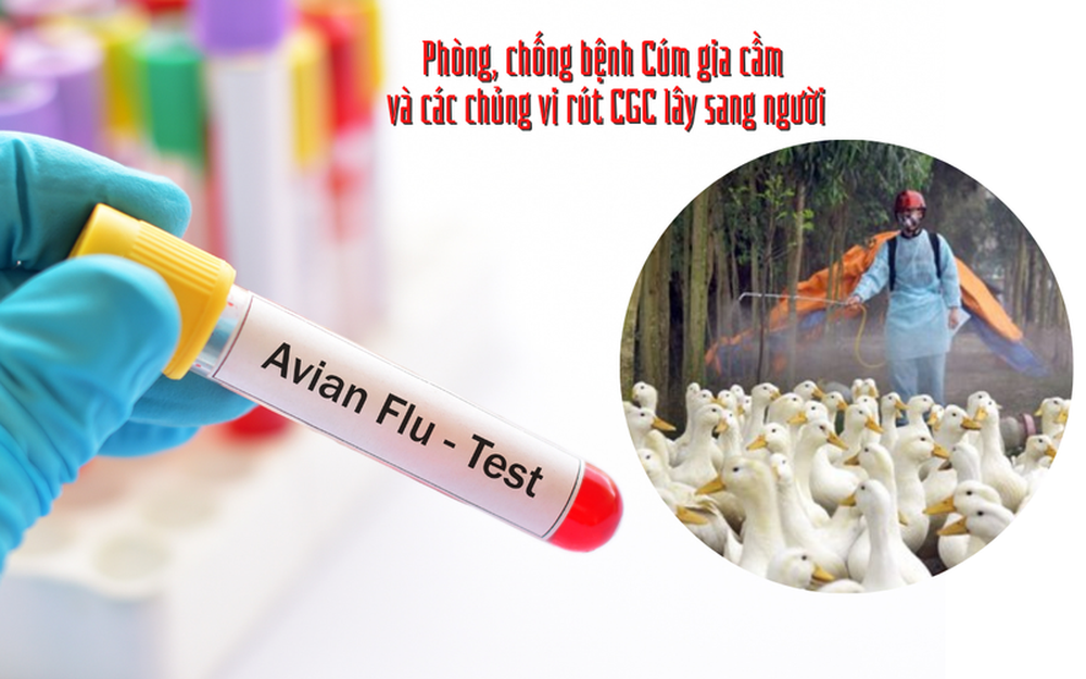 Bé gái 4 tuổi nhiễm cúm gia cầm ở Phú Thọ đang nguy kịch - Ảnh 1.