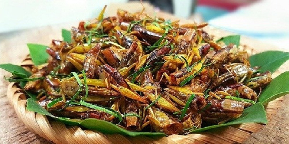 Đặc sản đồng ruộng chỉ xuất hiện khi mùa lúa chín, giá gần 300 nghìn/kg mà ai cũng thích mua - Ảnh 2.