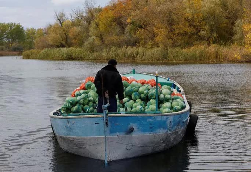 Lãnh đạo công ty động cơ máy bay Ukraine bị bắt vì phản quốc