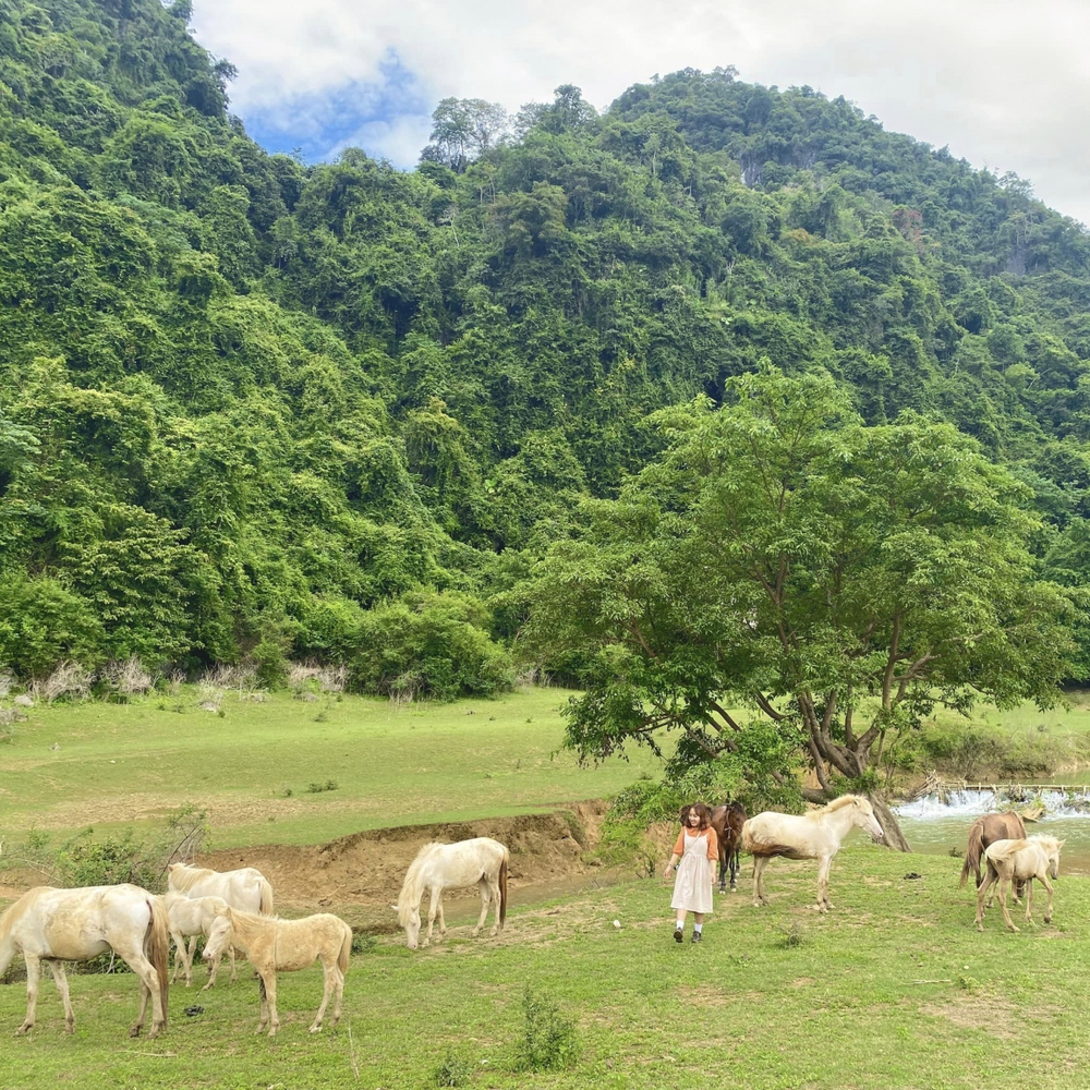 Nữ nhân viên văn phòng hoàn thành mơ ước du lịch tới 63 tỉnh thành - Ảnh 8.