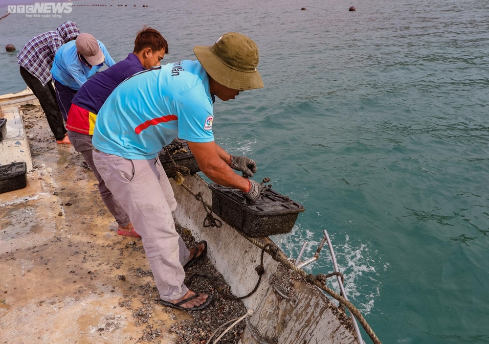 Tận mắt xem ngư dân Phú Quốc khai thác kho ngọc tiền tỷ dưới đáy biển - Ảnh 8.