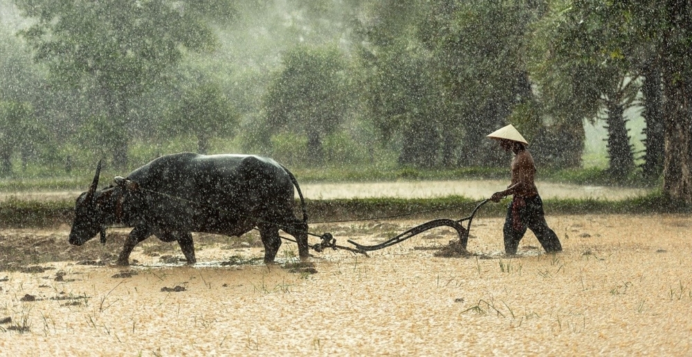 Vì sao nói đầu người giàu không có tóc, chân người nghèo không có lông? - Ảnh 2.