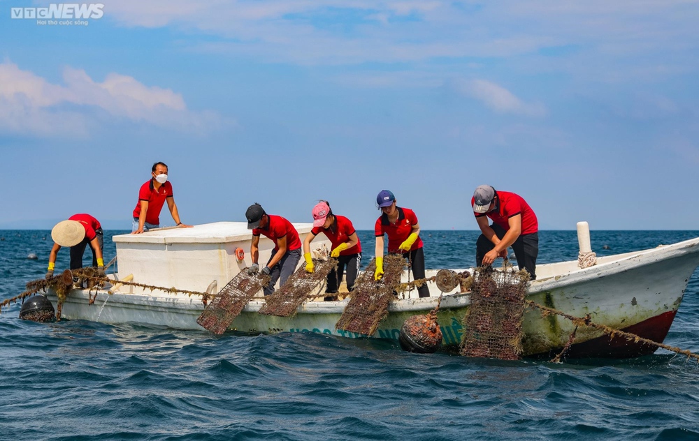 Tận mắt xem ngư dân Phú Quốc khai thác kho ngọc tiền tỷ dưới đáy biển - Ảnh 4.