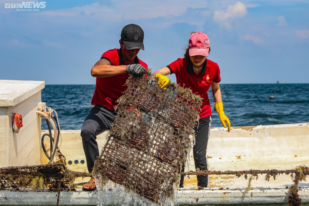 Tận mắt xem ngư dân Phú Quốc khai thác kho ngọc tiền tỷ dưới đáy biển - Ảnh 13.