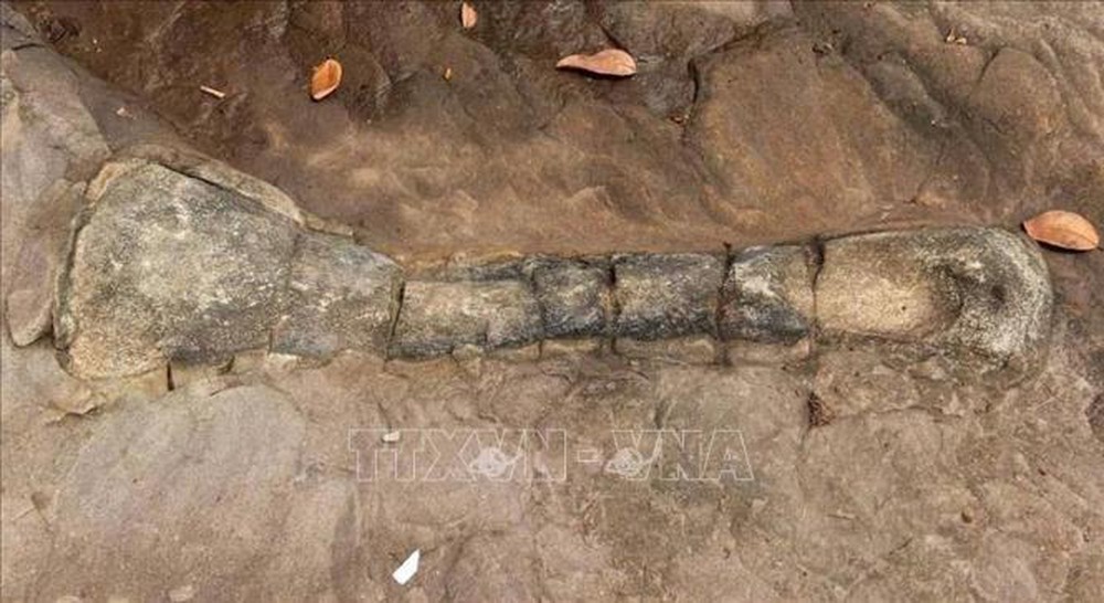 Campuchia công bố phát hiện hóa thạch xương khủng long - Ảnh 3.