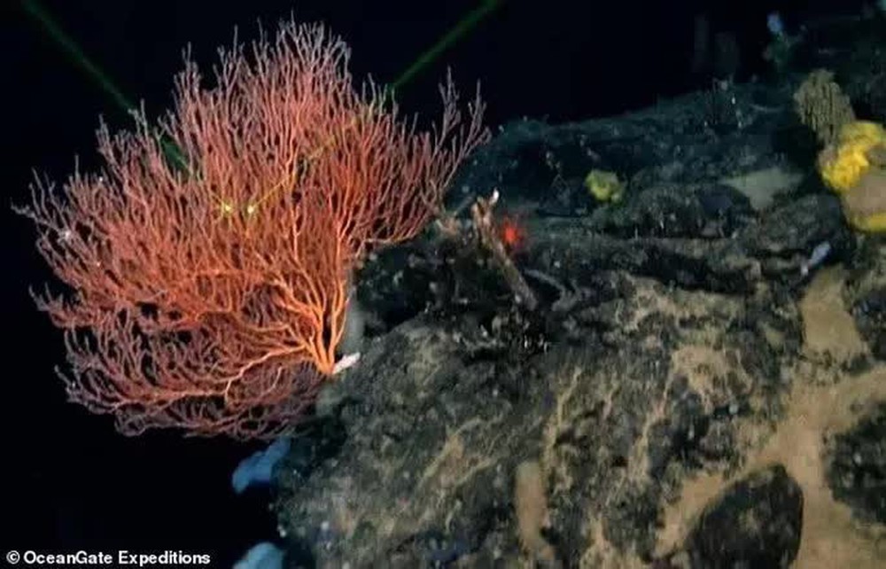 Sự thật choáng váng về hàng ngàn hồn ma cạnh xác tàu Titanic - Ảnh 1.