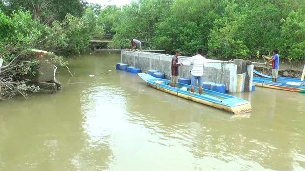 CLIP: Vợ chồng ở Cà Mau thu về hàng trăm triệu đồng từ nghề đặc biệt - Ảnh 6. CLIP: Vợ chồng ở Cà Mau thu về hàng trăm triệu đồng từ nghề đặc biệt - Ảnh 6.