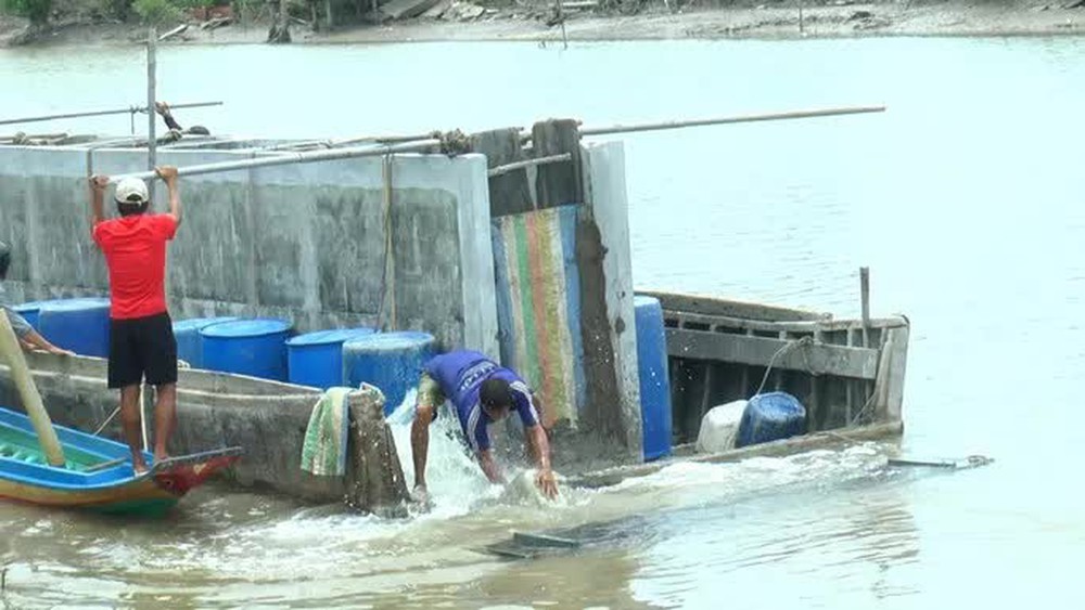 CLIP: Vợ chồng ở Cà Mau thu về hàng trăm triệu đồng từ nghề đặc biệt - Ảnh 5. CLIP: Vợ chồng ở Cà Mau thu về hàng trăm triệu đồng từ nghề đặc biệt - Ảnh 5.