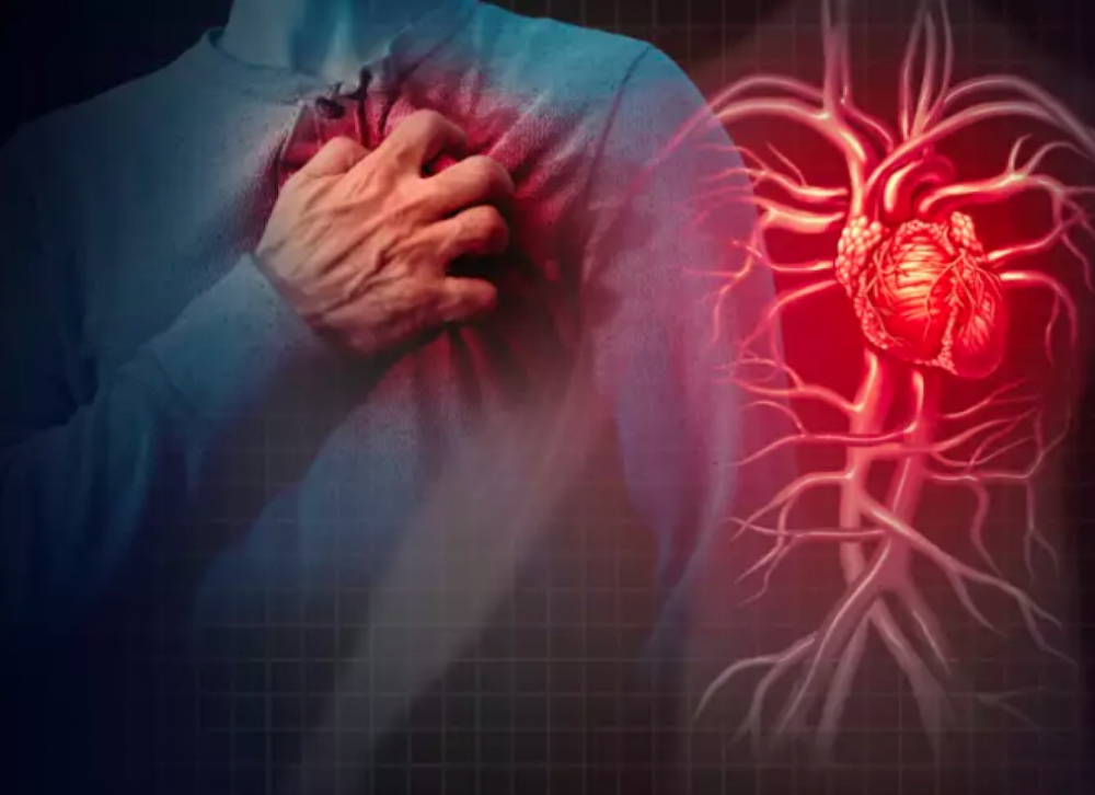 Những xét nghiệm quan trọng để chẩn đoán các vấn đề về tim - Ảnh 10.