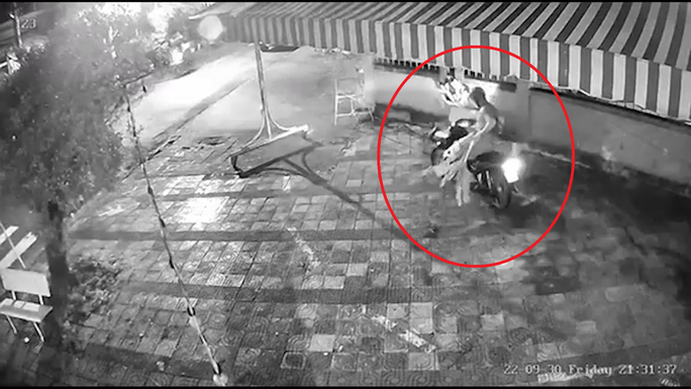 CLIP: Chết cười với cảnh trộm xương rồng lúc nửa đêm
