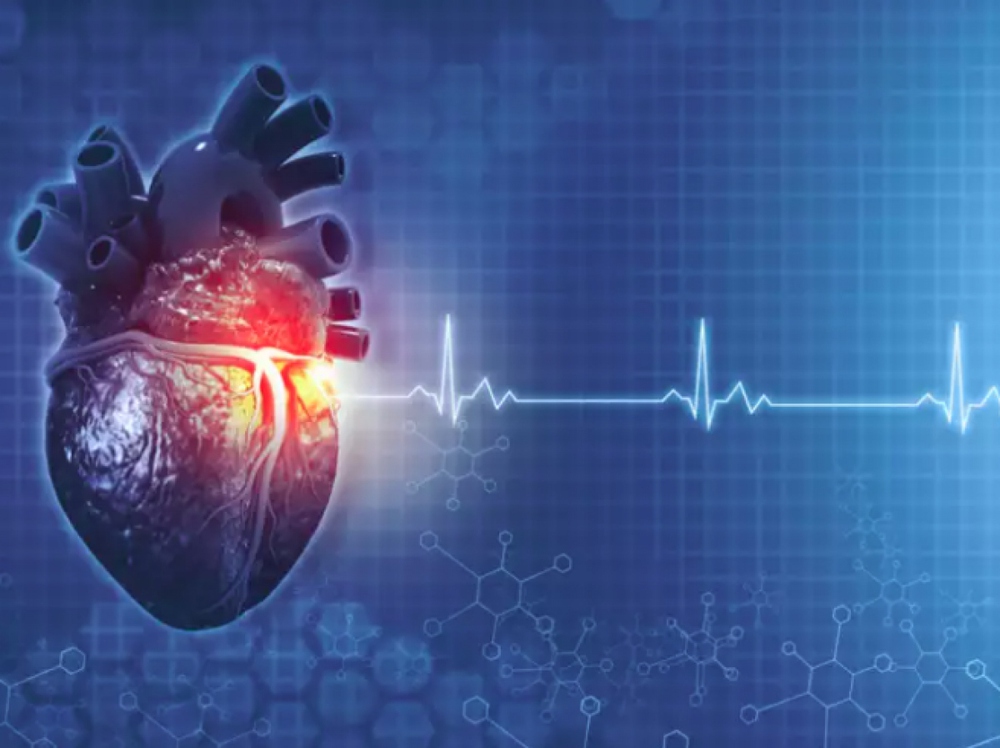 Những xét nghiệm quan trọng để chẩn đoán các vấn đề về tim - Ảnh 1.