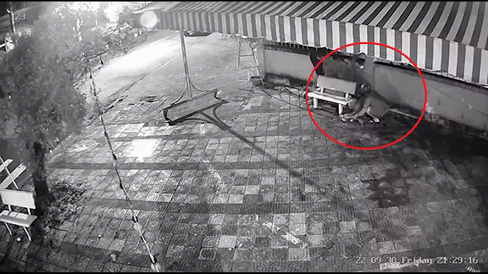 CLIP: Chết cười với cảnh trộm xương rồng lúc nửa đêm - Ảnh 2.