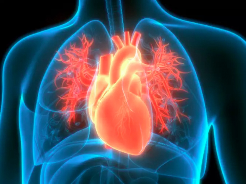 Những xét nghiệm quan trọng để chẩn đoán các vấn đề về tim - Ảnh 7.
