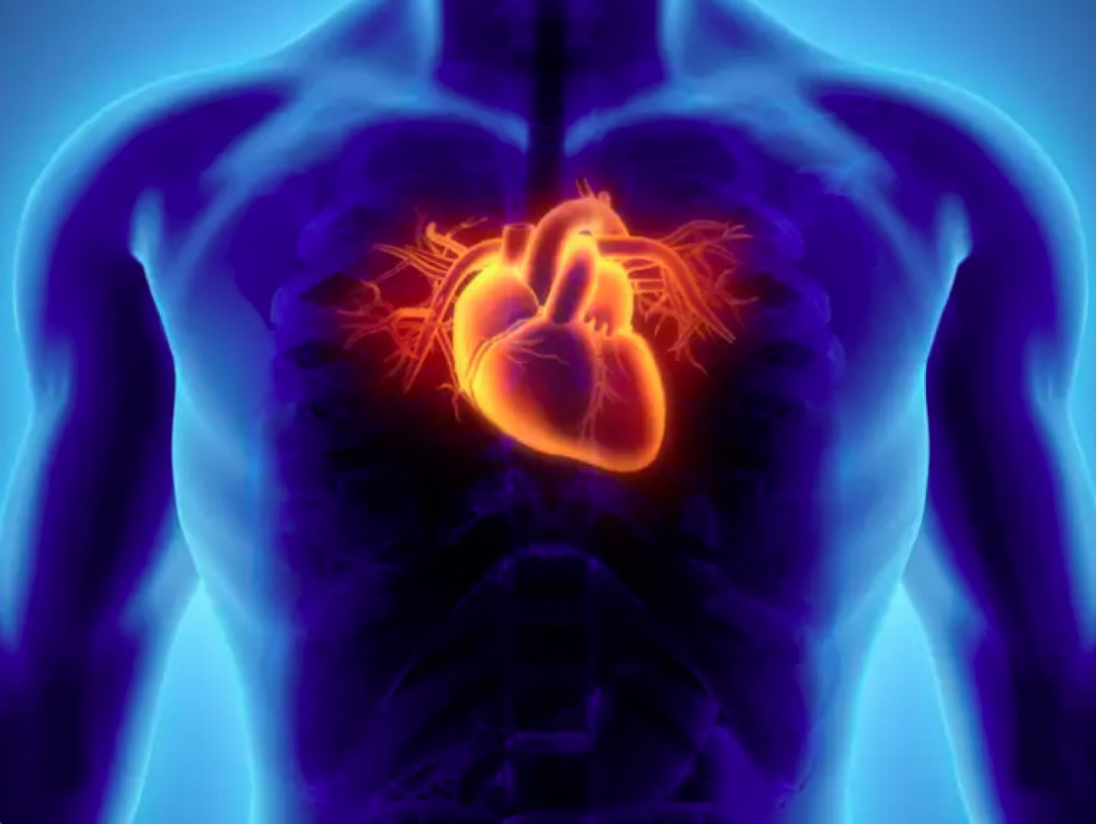 Những xét nghiệm quan trọng để chẩn đoán các vấn đề về tim - Ảnh 5.