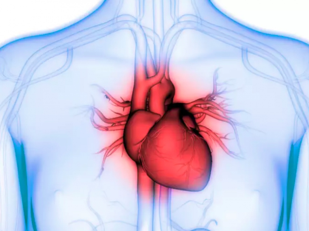 Những xét nghiệm quan trọng để chẩn đoán các vấn đề về tim - Ảnh 4.